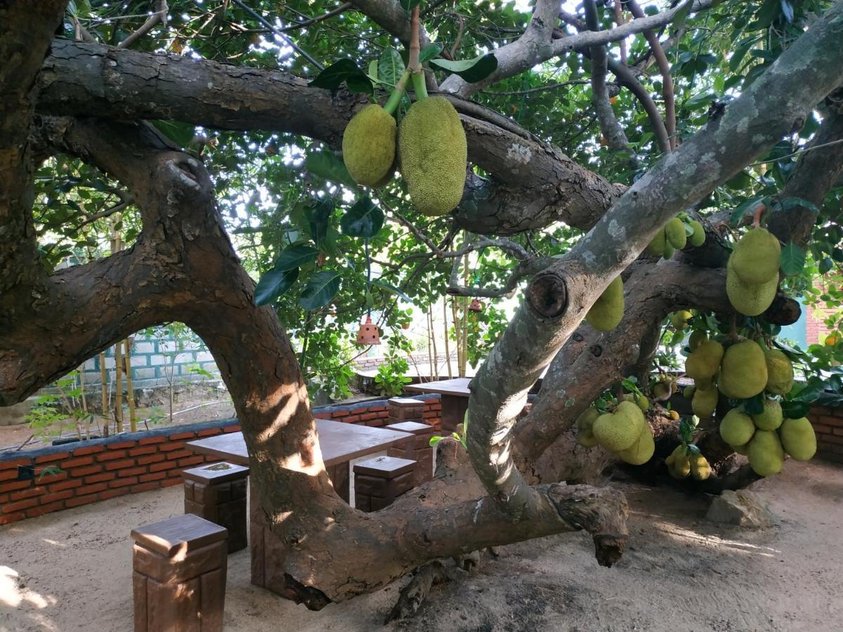 Sigiriya Cashew Palace Resort Daganapothaha エクステリア 写真