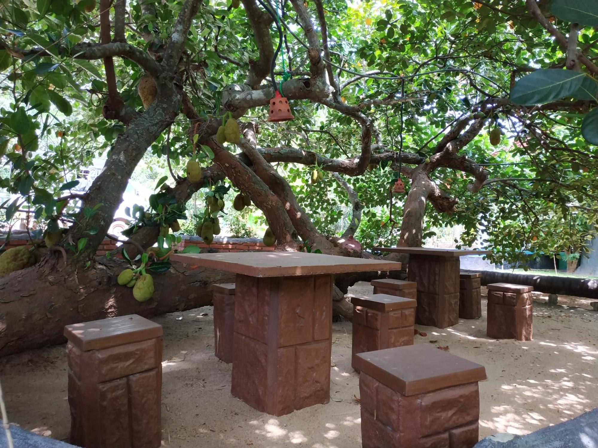 Sigiriya Cashew Palace Resort Daganapothaha エクステリア 写真