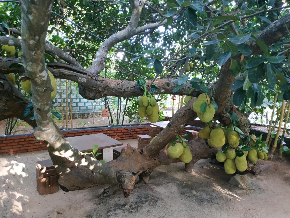 Sigiriya Cashew Palace Resort Daganapothaha エクステリア 写真