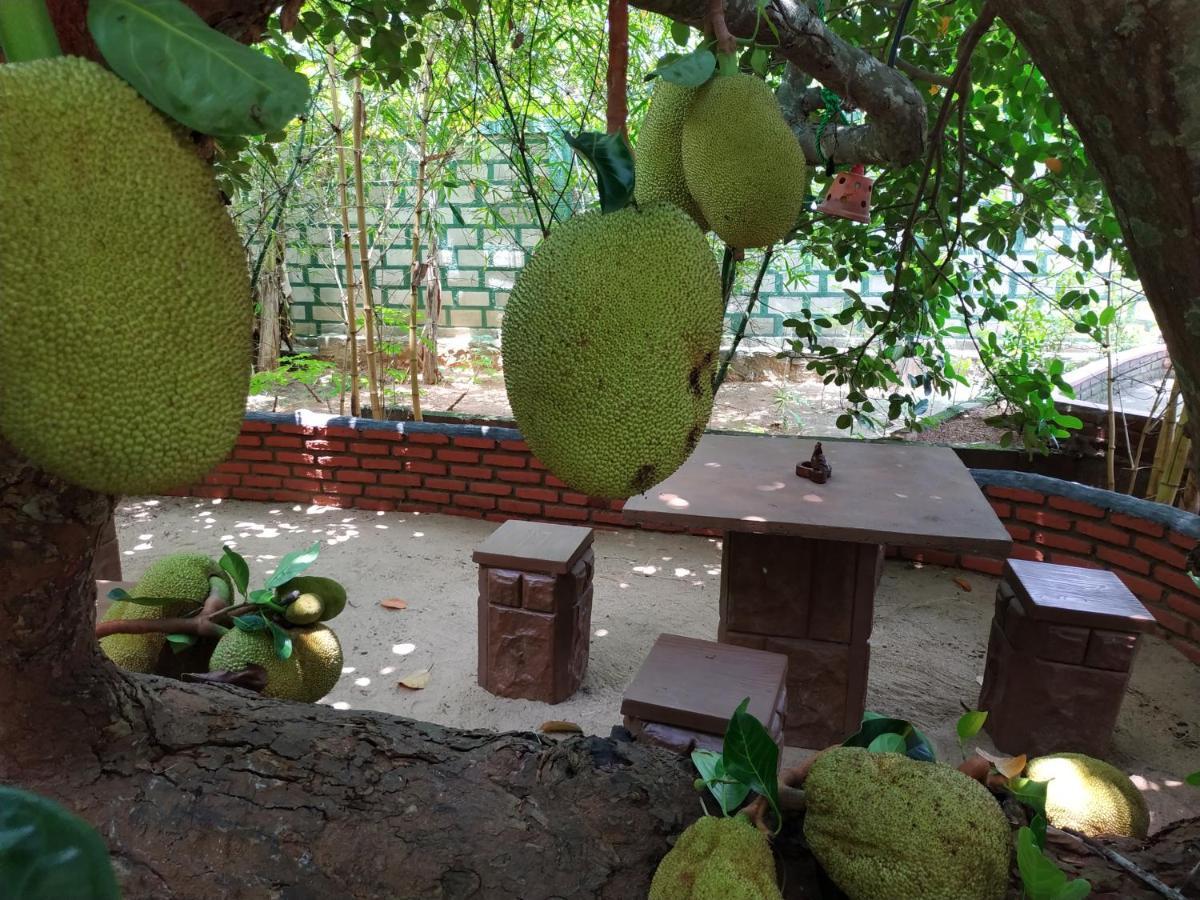Sigiriya Cashew Palace Resort Daganapothaha エクステリア 写真