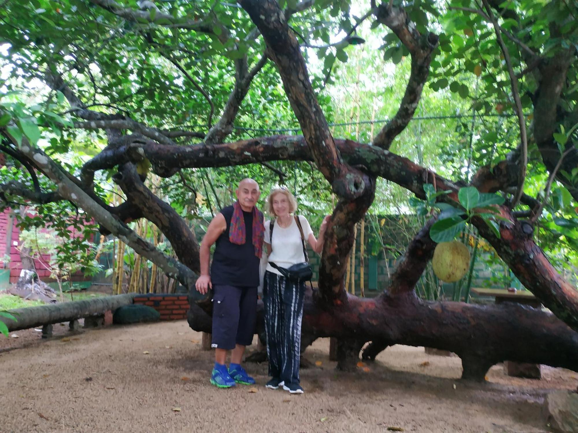 Sigiriya Cashew Palace Resort Daganapothaha エクステリア 写真