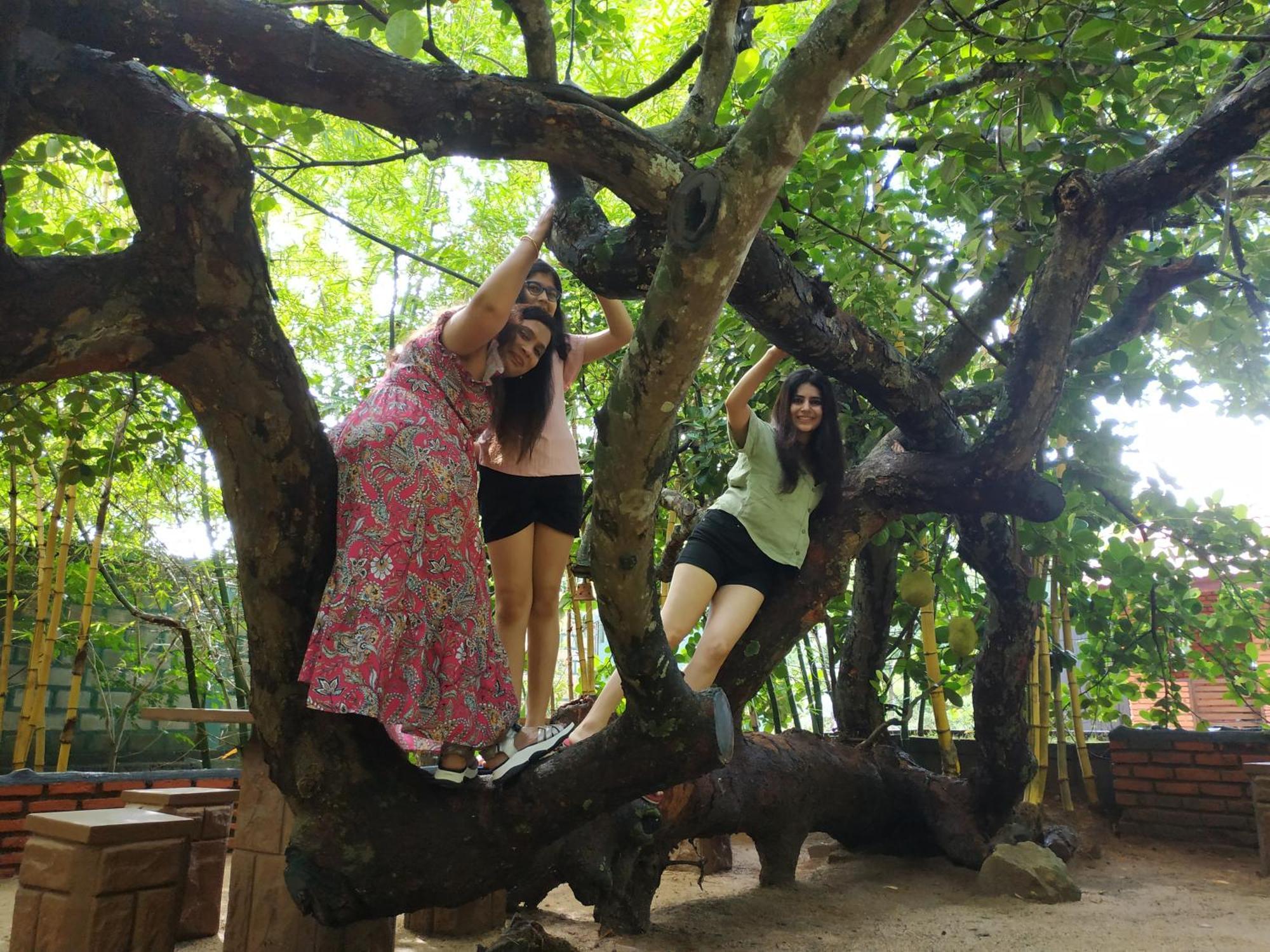 Sigiriya Cashew Palace Resort Daganapothaha エクステリア 写真