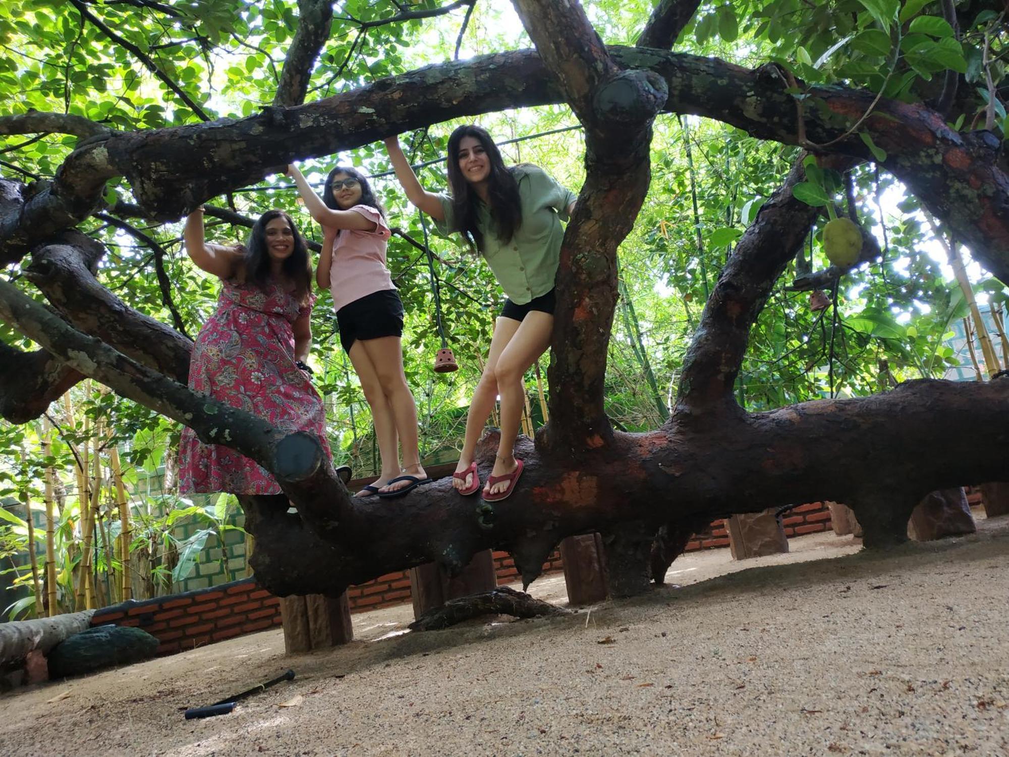 Sigiriya Cashew Palace Resort Daganapothaha エクステリア 写真