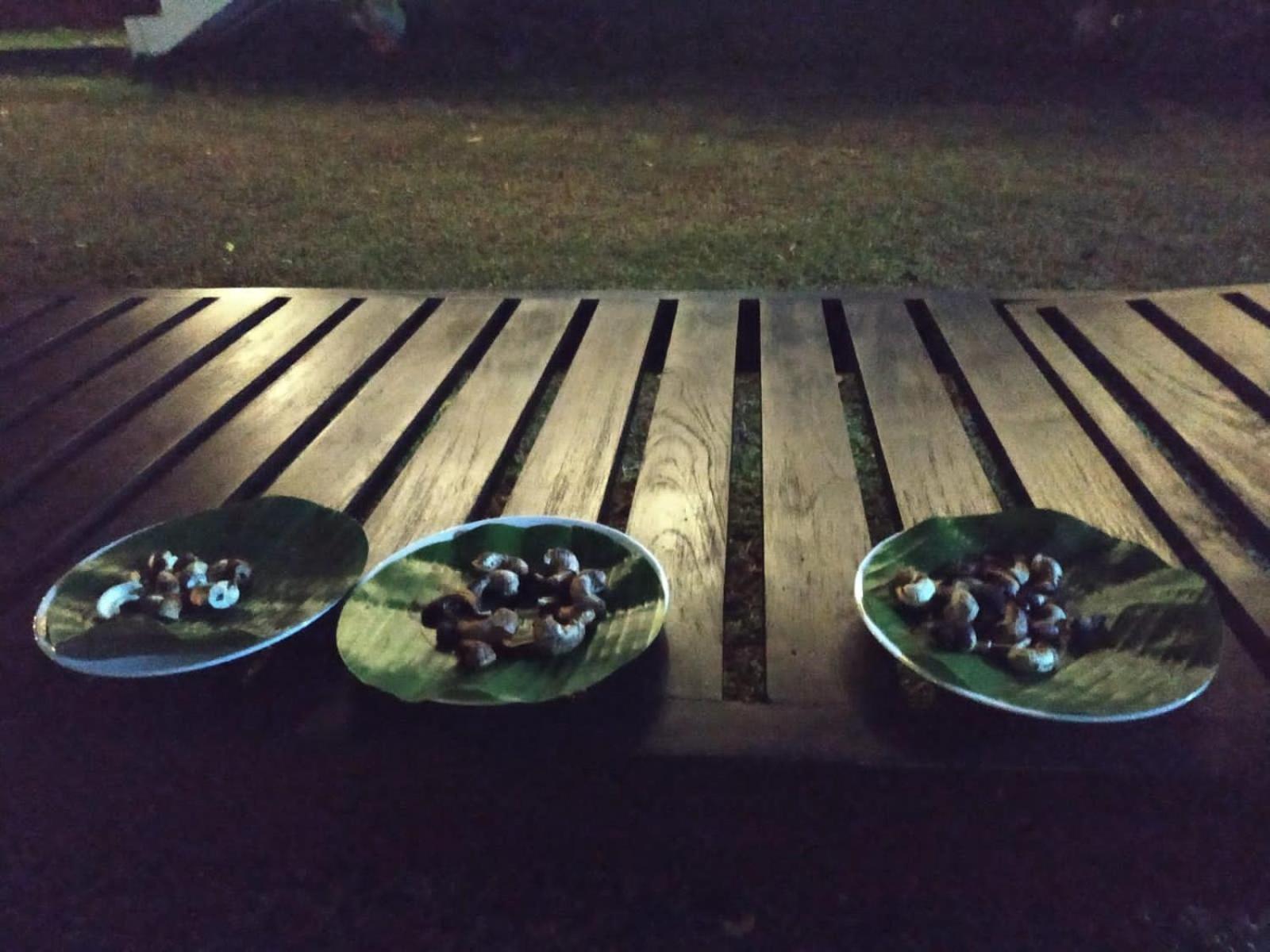 Sigiriya Cashew Palace Resort Daganapothaha エクステリア 写真